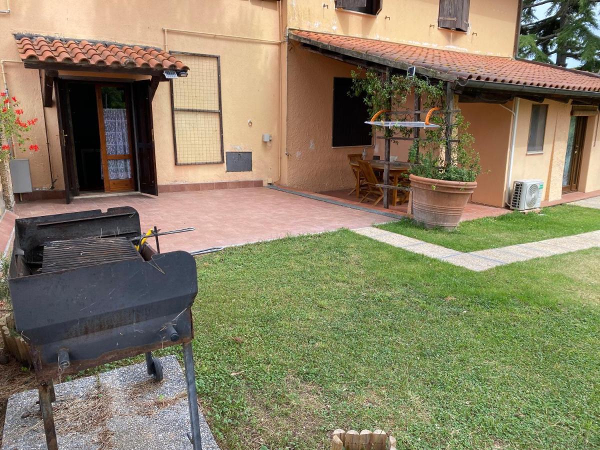Agriturismo Terranera Scansano Zewnętrze zdjęcie