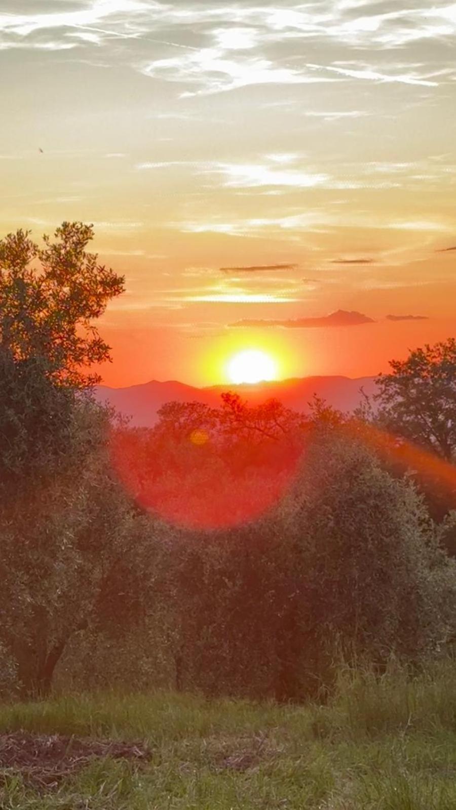 Agriturismo Terranera Scansano Zewnętrze zdjęcie