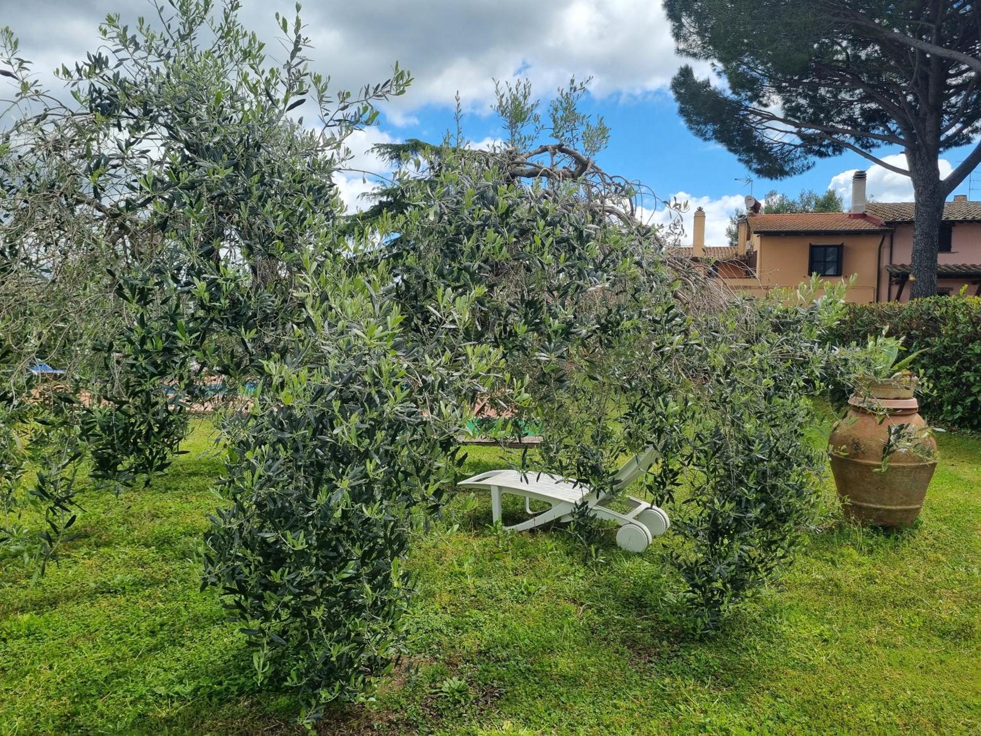 Agriturismo Terranera Scansano Zewnętrze zdjęcie