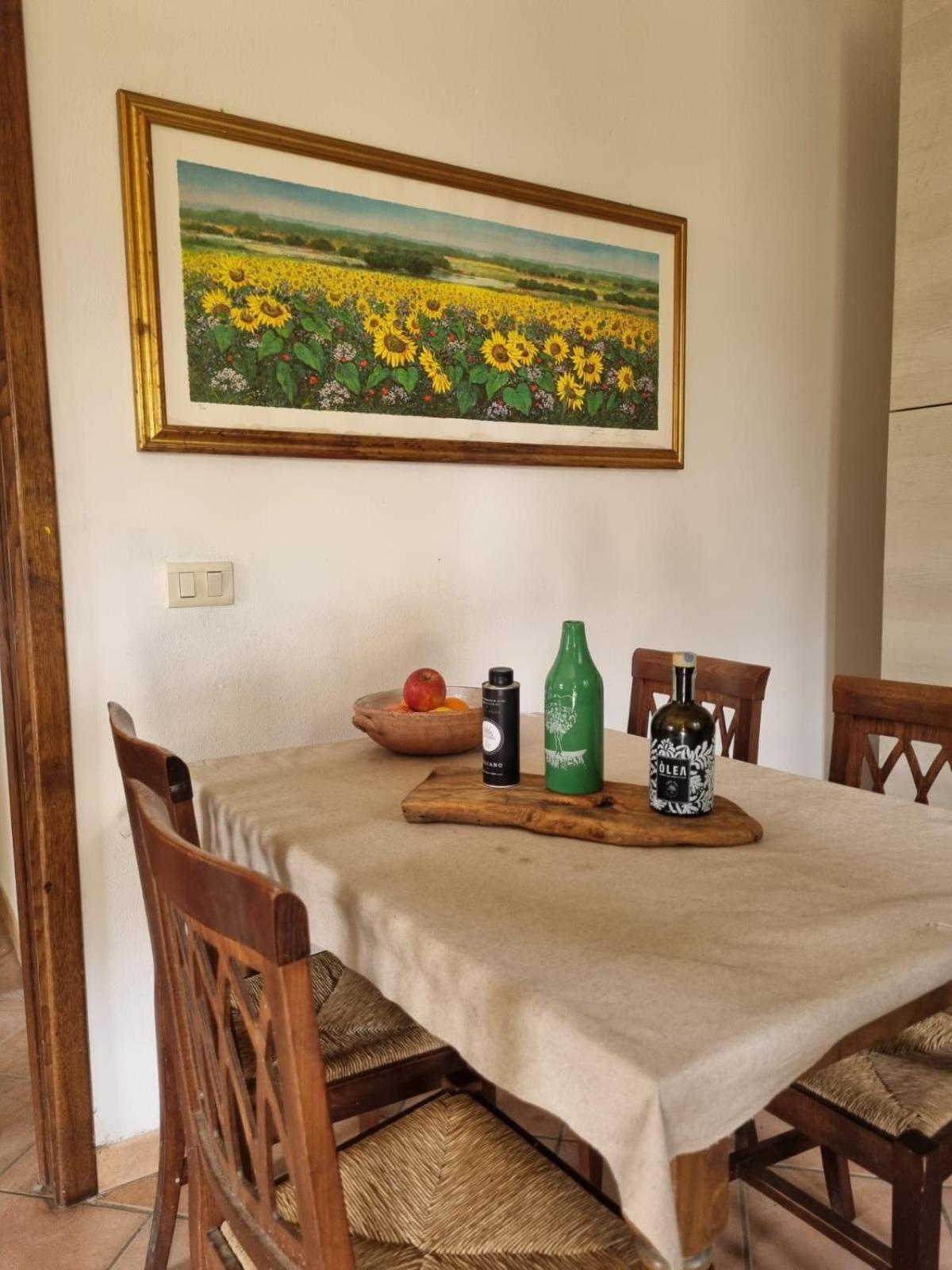 Agriturismo Terranera Scansano Zewnętrze zdjęcie