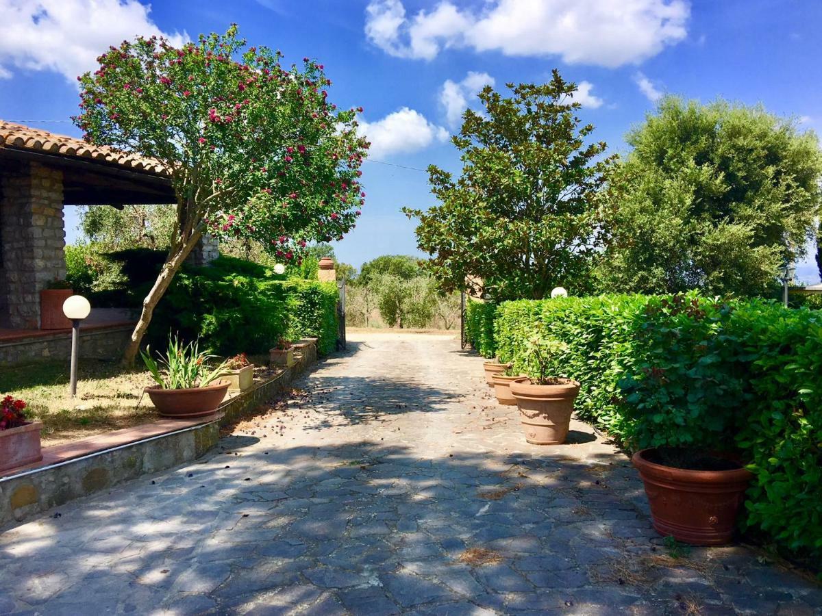 Agriturismo Terranera Scansano Zewnętrze zdjęcie