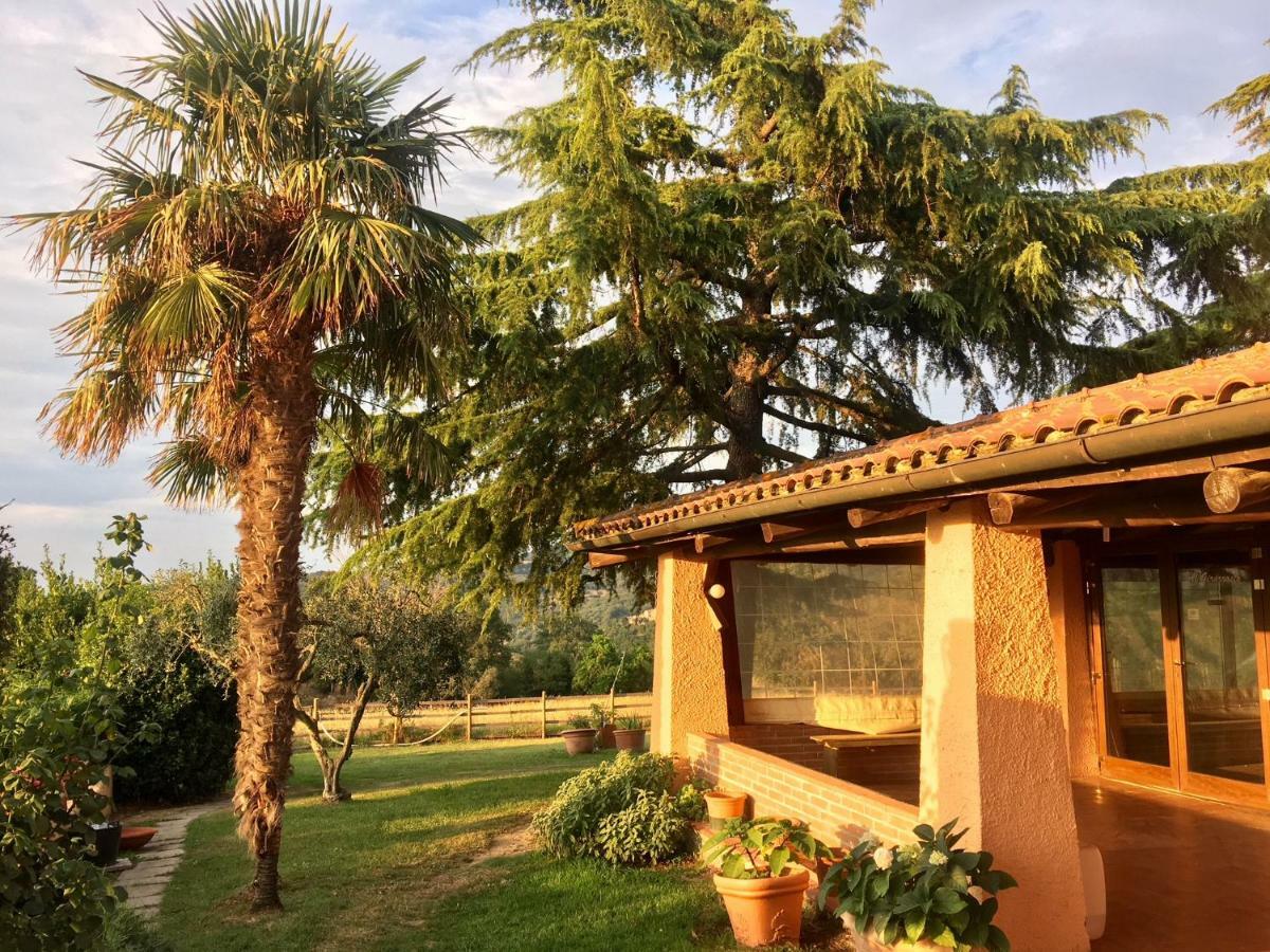 Agriturismo Terranera Scansano Zewnętrze zdjęcie
