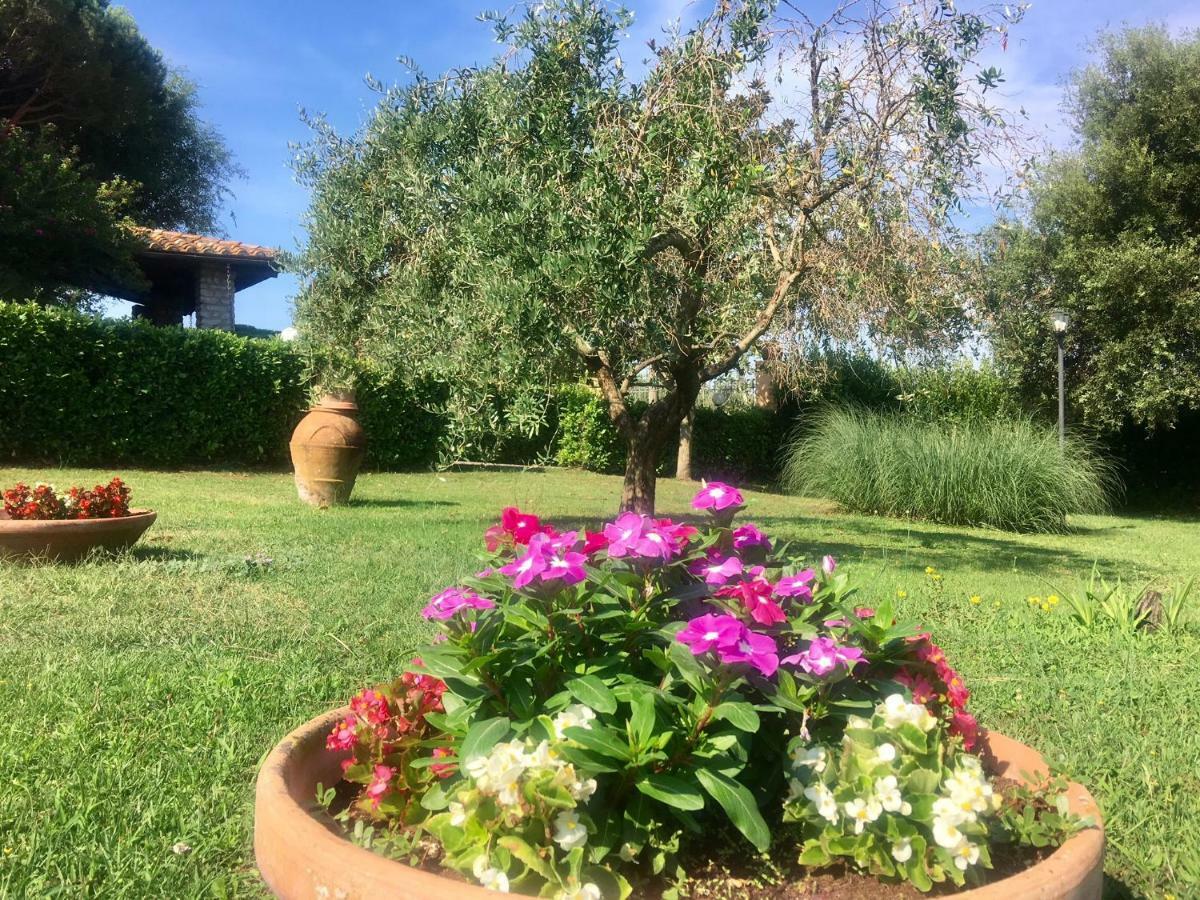 Agriturismo Terranera Scansano Zewnętrze zdjęcie